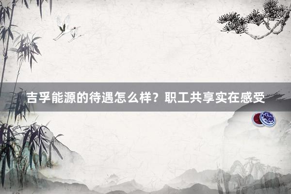 吉孚能源的待遇怎么样？职工共享实在感受